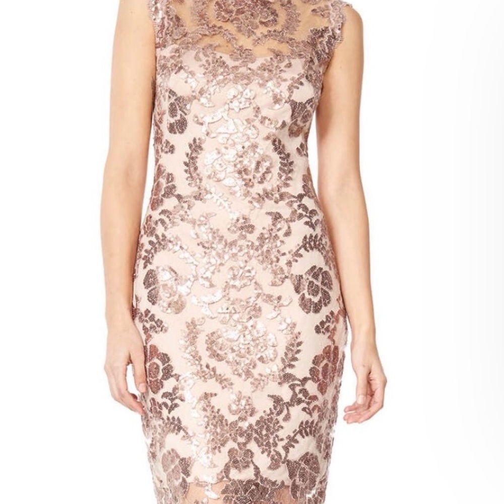 Tadashi Shoji Rose Gold Lace-Embellished Midi Dress